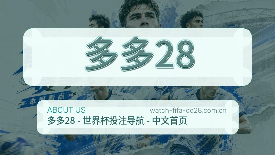 多多28平台内容服务